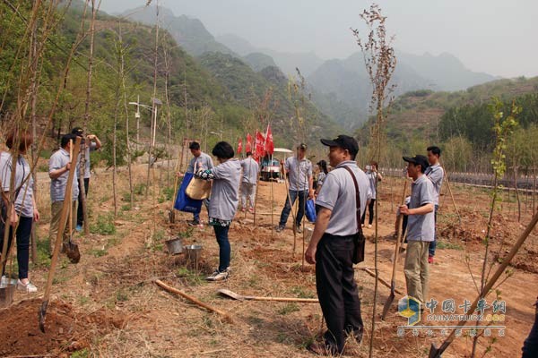 投身于植樹造林活動中