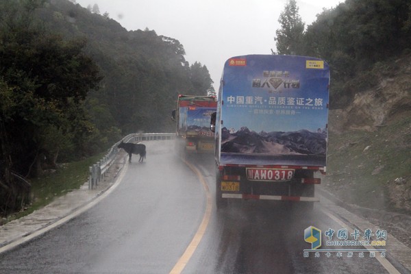 中國(guó)重汽品質(zhì)鑒證之旅第一季藏地探索世界屋脊