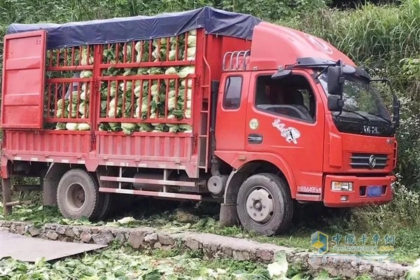 東風(fēng)輕型車張偉的車在田間拉蔬菜