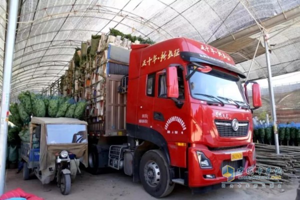 車輛裝好鮮花綠植踏上返程之路，車貨總重仍為49噸